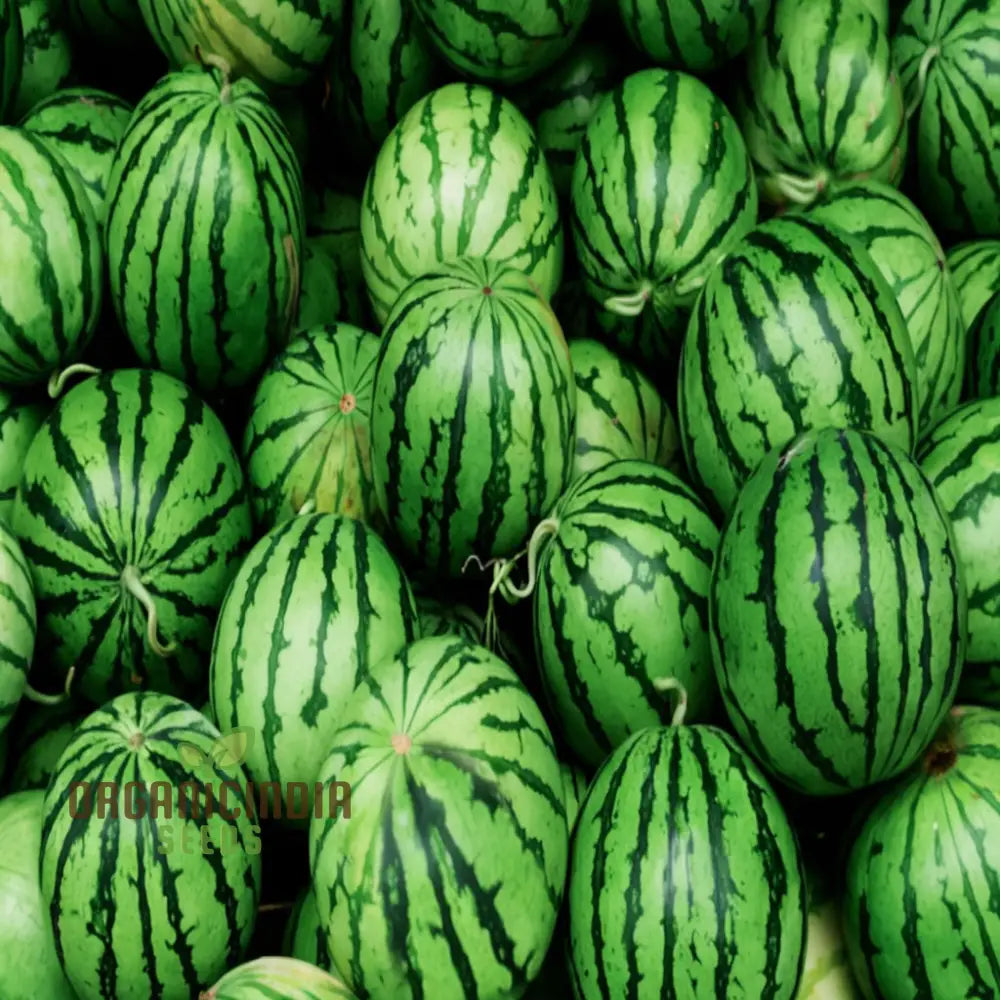 Green Flesh Watermelon Fruit Seeds For Lush And Juicy Harvests - Perfect Home Gardening Enthusiasts