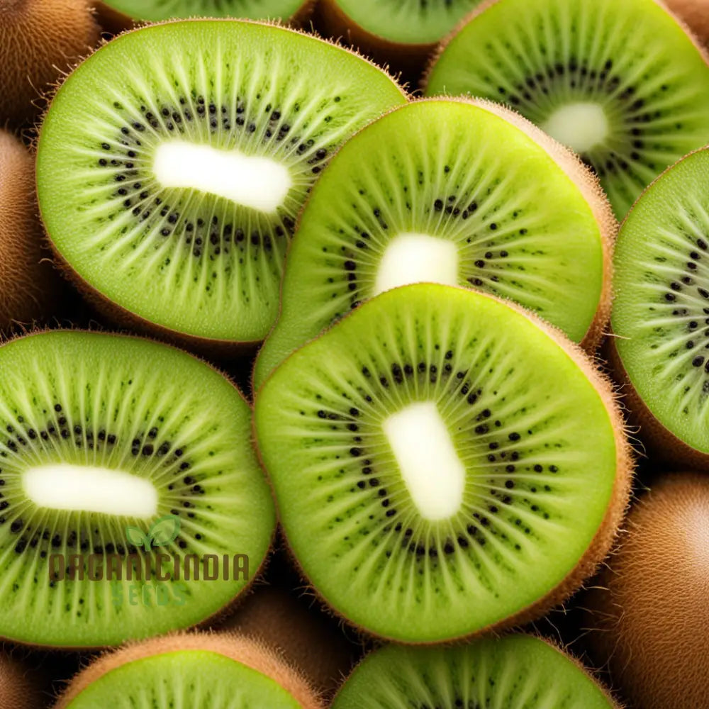 Green Kiwi Fruit Seeds For Planting And Gardening Beauty Guide Seed Plants