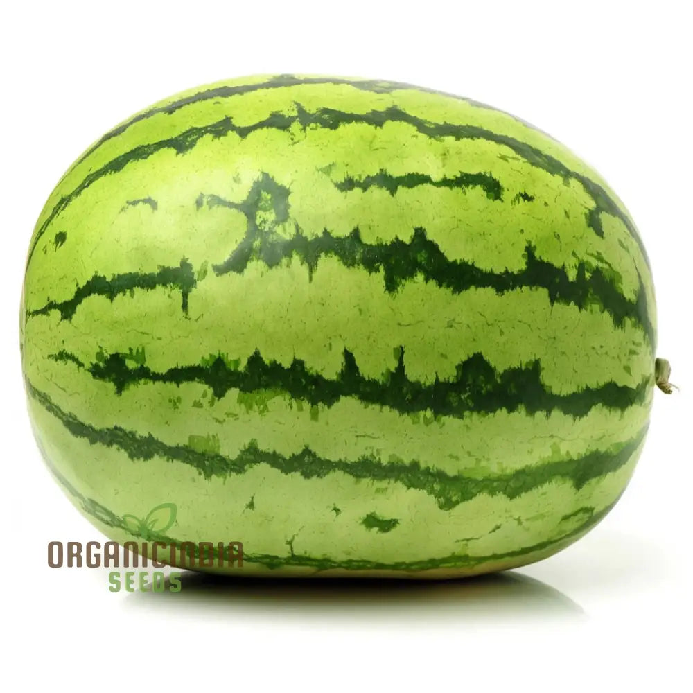 Green Watermelon Fruit Seeds Juicy And Refreshing Summer Treats Easy-To-Growing Varieties For A