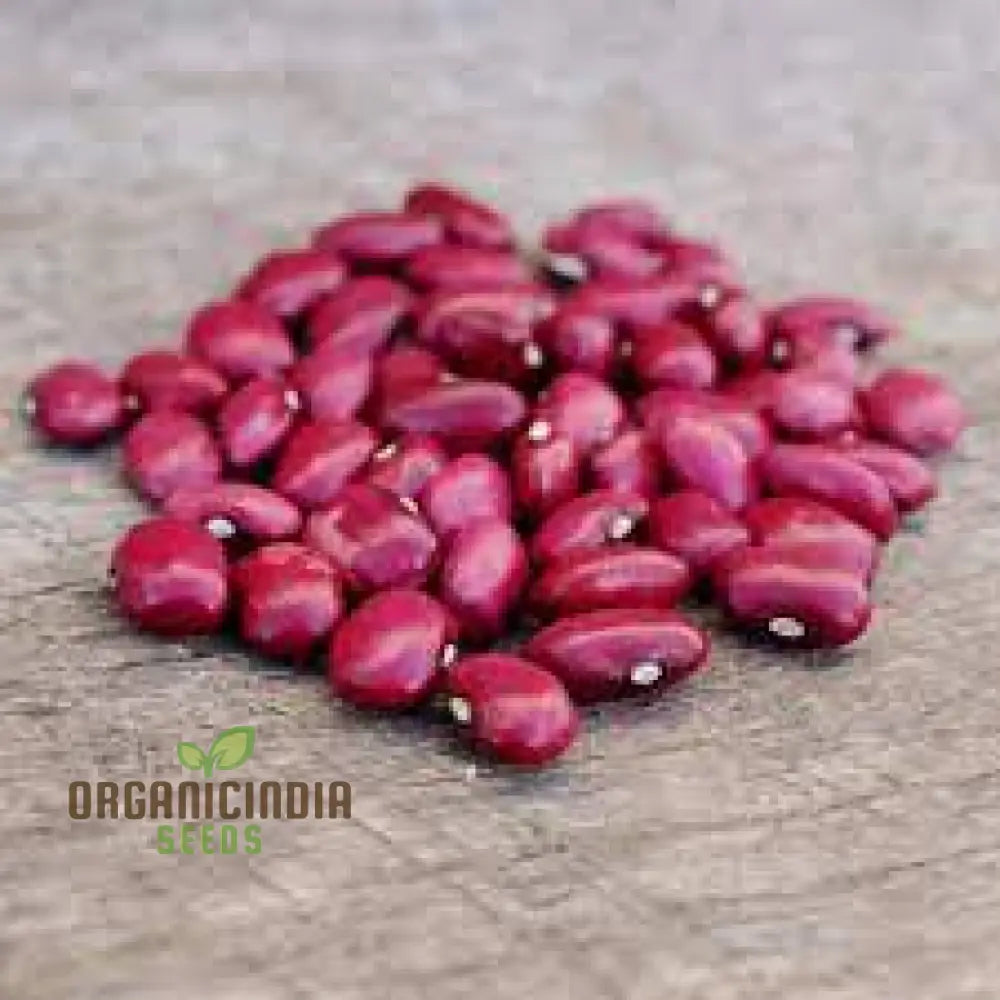 Hidatsa Red Beans Seeds For Planting: Heirloom Gardening Delight For Your Sustainable Garden