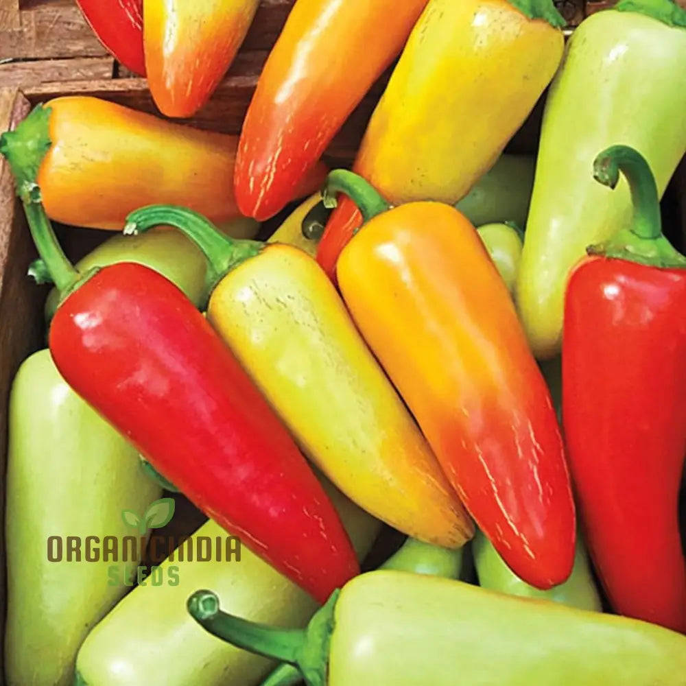 Hot Pepper F1 Hybrid Vegetable Seeds Expert Planting And Gardening Tips For A Fiery Harvest