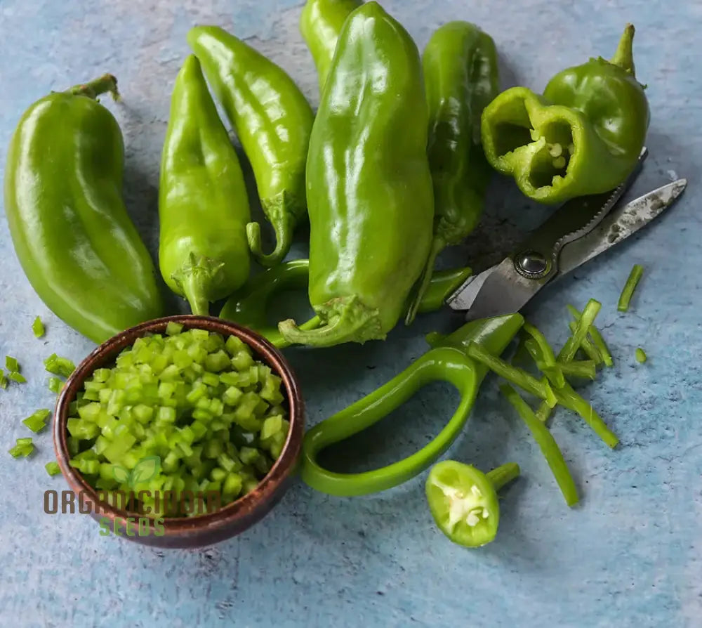 Hot Pepper Seeds - Anaheim Chili For Vibrant Flowers | Ideal Planting In Your Garden