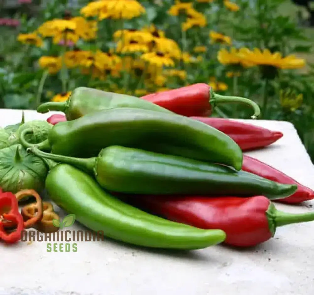 Hot Pepper Seeds - Anaheim Chili For Vibrant Flowers | Ideal Planting In Your Garden