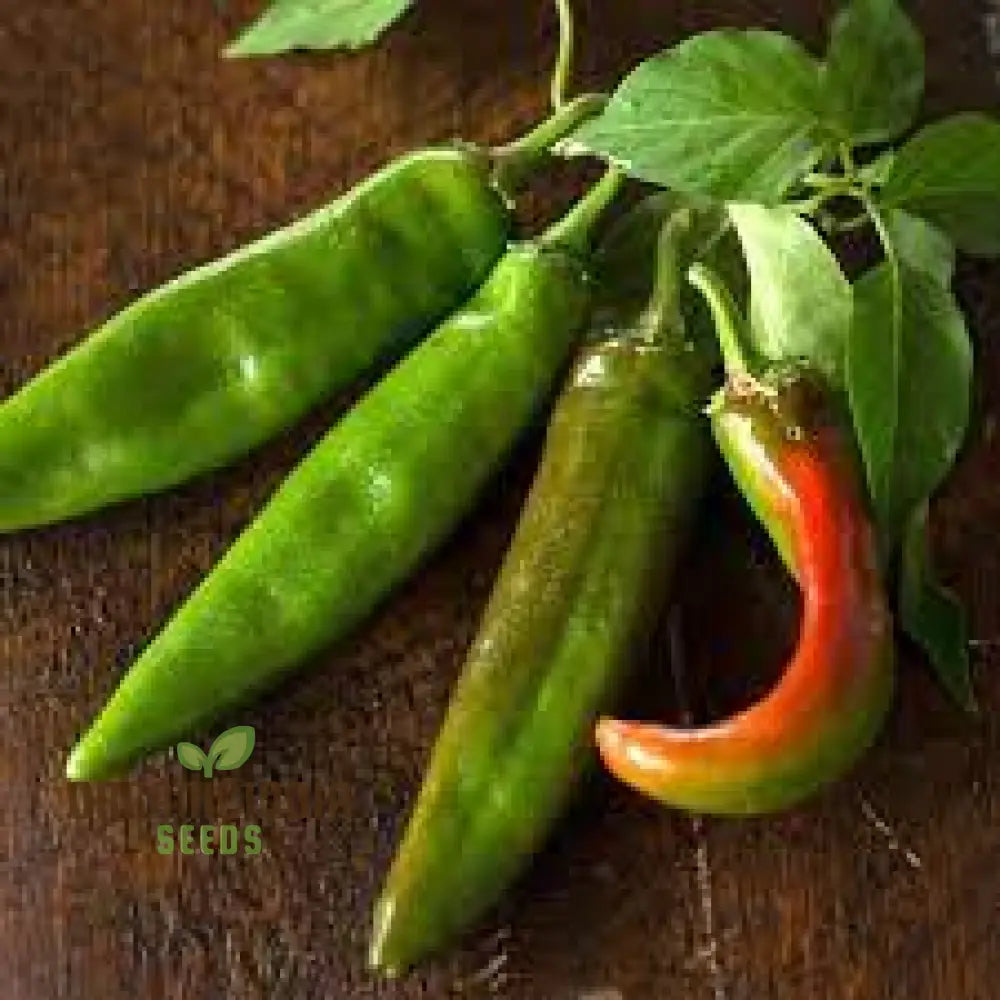 Hot Pepper Seeds - Anaheim Chili For Vibrant Flowers | Ideal Planting In Your Garden