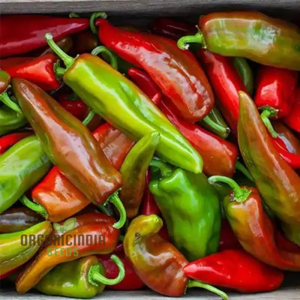 Hot Pepper Seeds - Anaheim Chili For Vibrant Flowers | Ideal Planting In Your Garden