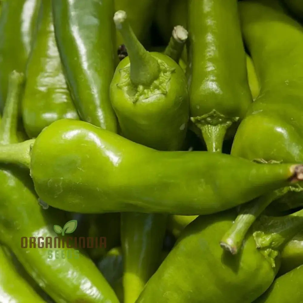 Hot Pepper Seeds - Anaheim Chili For Vibrant Flowers | Ideal Planting In Your Garden