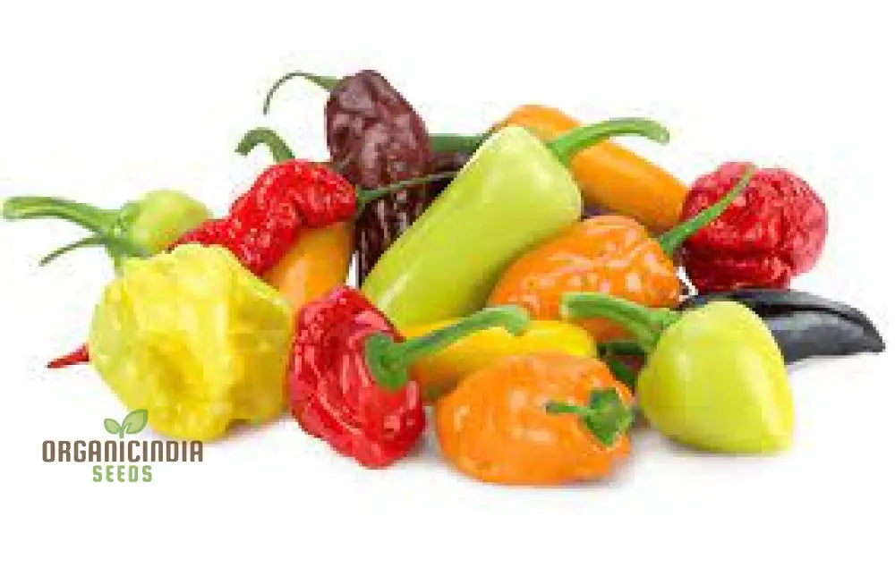 Hot Pepper Seeds - Caribbean Blend For Vibrant Flowers And Garden Planting