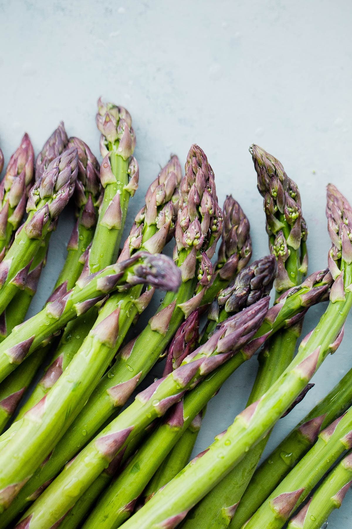 Lila Spargelsamen zum Anpflanzen, Züchten Sie einzigartigen und aromatischen lila Spargel