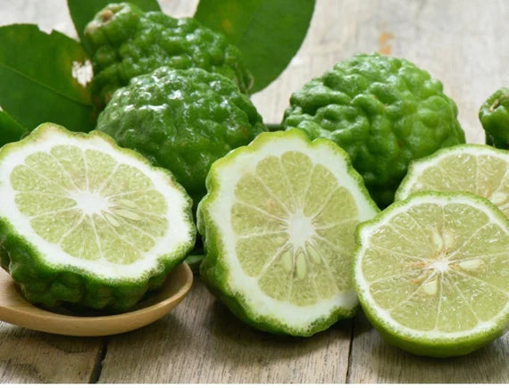 Thai Kaffir Lime Seeds for Planting - 100 pcs - Fruit Seeds