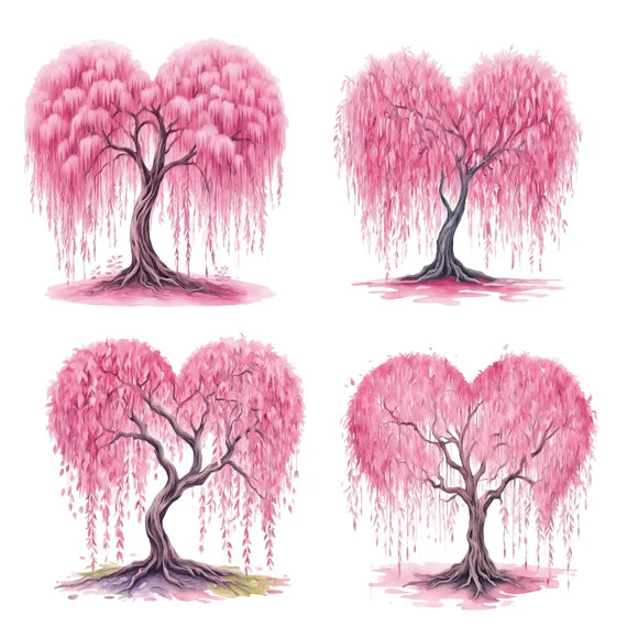 "Pink Willow Weeping Tree Seeds, Planting, 100 pcs" - Plant Seeds