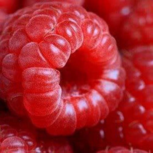 Red Raspberry Fruit Seeds