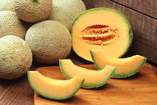 Hale's Best Jumbo Cantaloupe Seeds