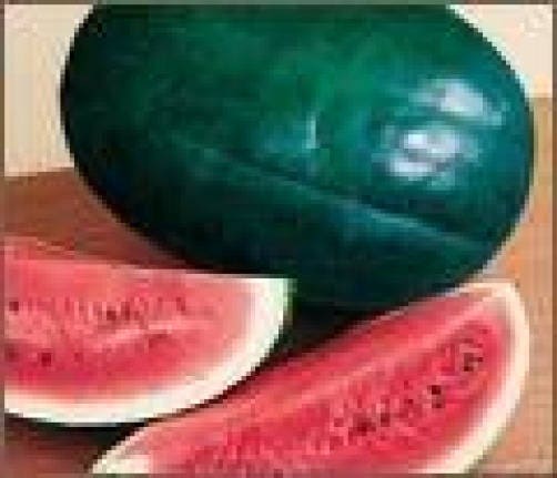 Florida Giant Watermelon Seeds