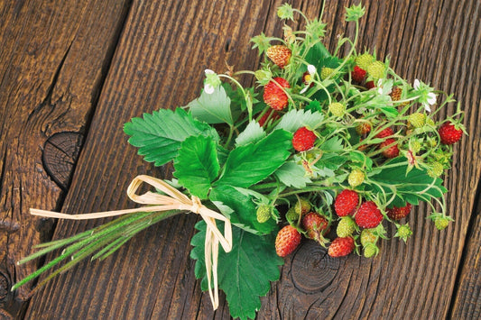 California Woodland Strawberry Seeds