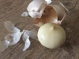 Onions Garlic Solo Garlic Heirloom Vegetable Seeds For Planting