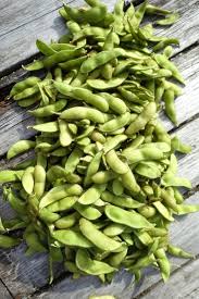 Midori Giant Edamame Soybean Seeds for Planting - 100 pcs - Vegetable Seeds