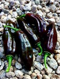 Chocolate Fatalii Pepper Seeds, Rare Heirloom Hot Chilli Seeds, 100 pcs - Vegetable Seeds