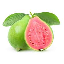 Vietnamese Pink Guava Seeds – Sweet & Aromatic Tropical Fruit for Planting