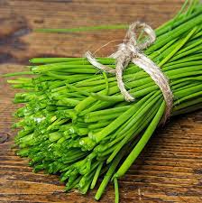 Graines de ciboulette à l'ail, poireau chinois à pollinisation libre à haut rendement, graines parfaites pour la plantation dans les jardins familiaux, graines pour le jardinage