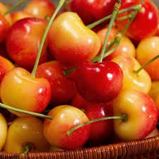 Rainier Sweet Cherry Yellow White Fruit Tree Seeds – 9 Pieces