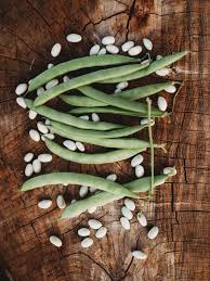 "White Half Runner Green Bean Seeds, Planting - 100 pcs" - Vegetable Seeds