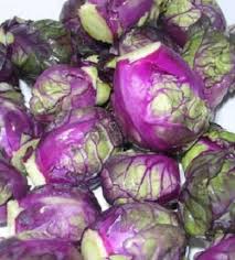 Heirloom Purple Red Brussels Sprout Seeds, Planting, 100 pcs - Vegetable Seeds