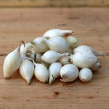 Snowball Onion Seed Sets for Vibrant Growth and Bountiful Harvests Enhance Your Gardening Experience with Quality Seeds