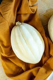 Squash 'Mashed Potatoes' F1 Hybrid Seeds - High-Yield Gardening Variety, Easy to Grow, Perfect for Home Gardeners