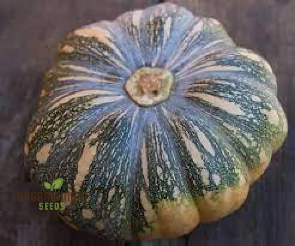 Japanese (Kent) Seeds - Premium Quality For Planting Success