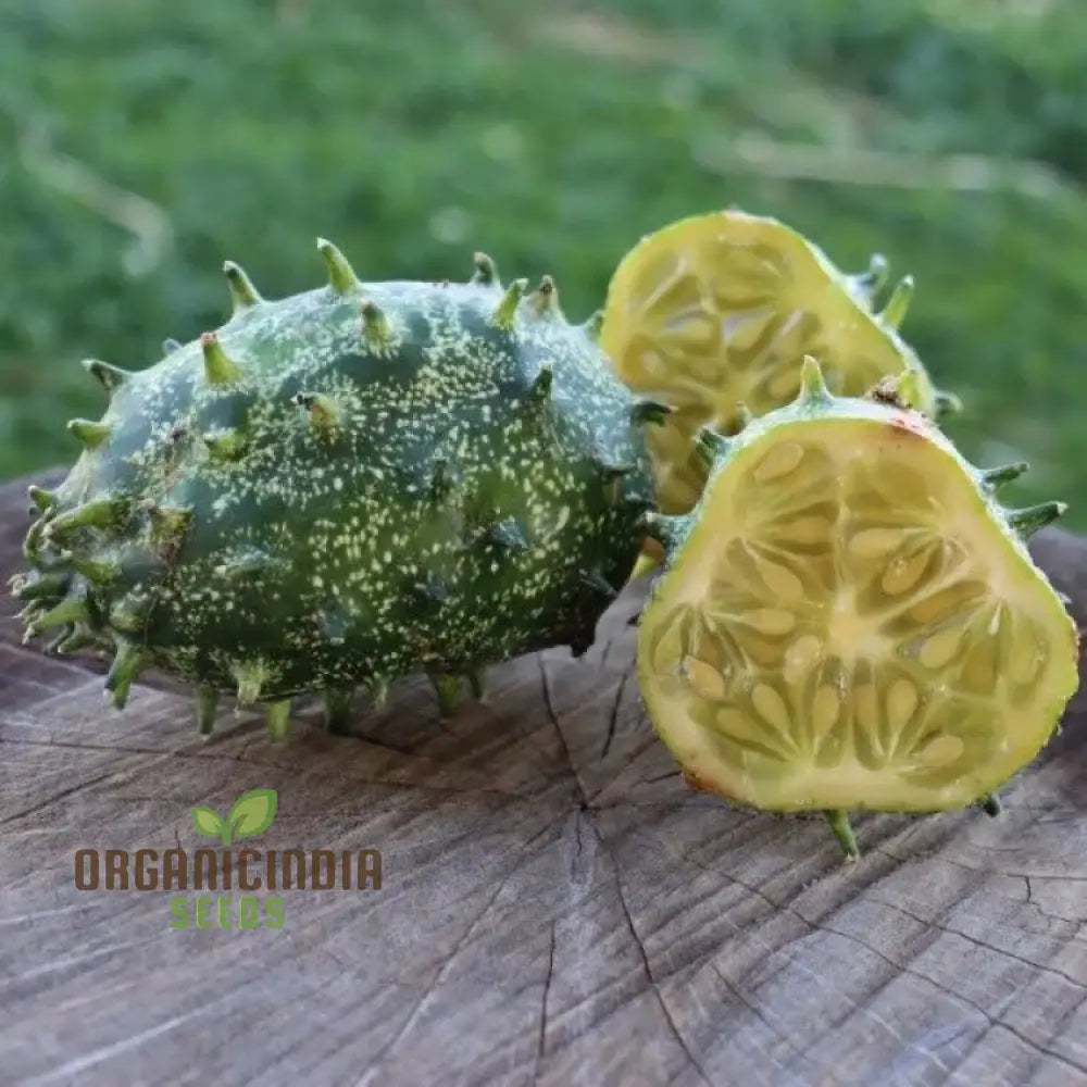 Jelly Melon Cucumber Seeds - Grow Unique And Exotic Cucumbers For Your Garden