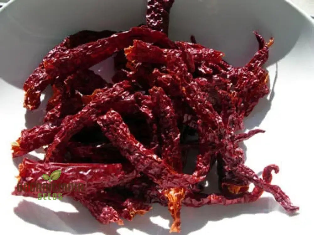 Kashmiri Mirchi Chili Seeds For Planting And Gardening - Organic Seed Quality