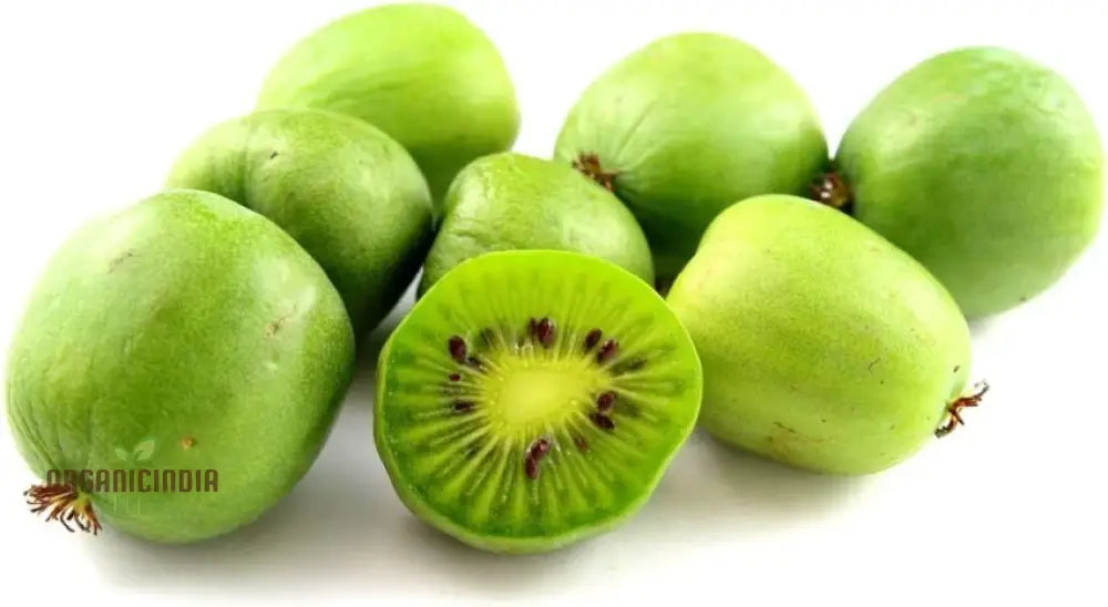 Kiwi Berry (Actinidia Arguta) Seeds For Gardening Enthusiasts | Grow Your Own Hardy Vine At Home