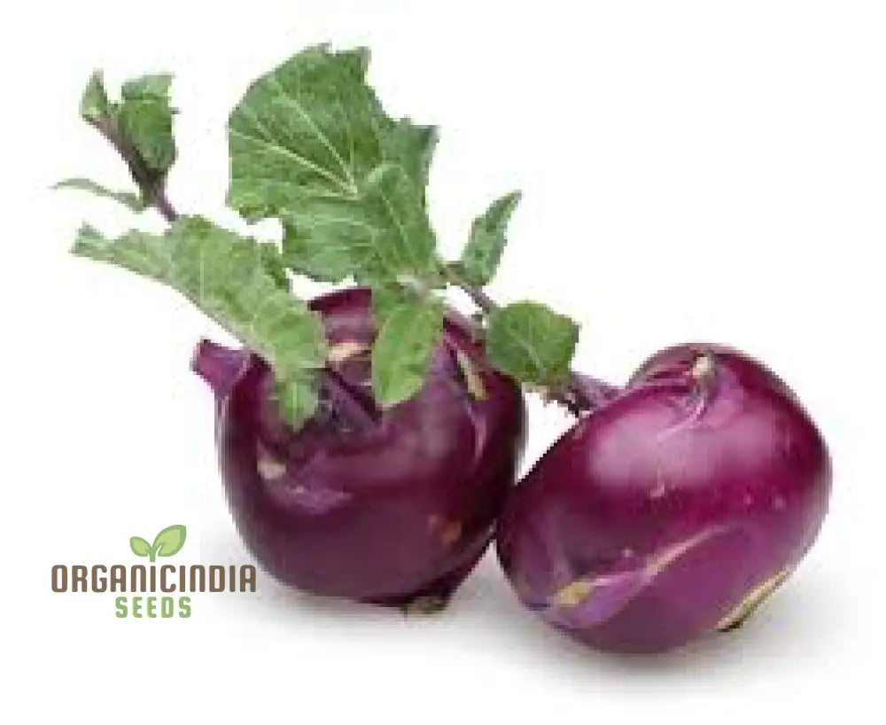 Kohl Rabi Mix Seeds For Planting And Gardening - Organic Vegetable