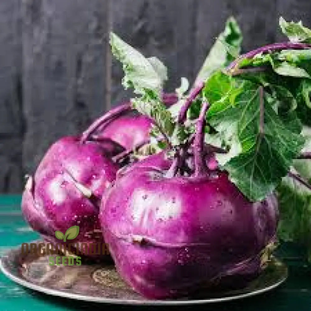 Kohl Rabi Mix Seeds For Planting And Gardening - Organic Vegetable