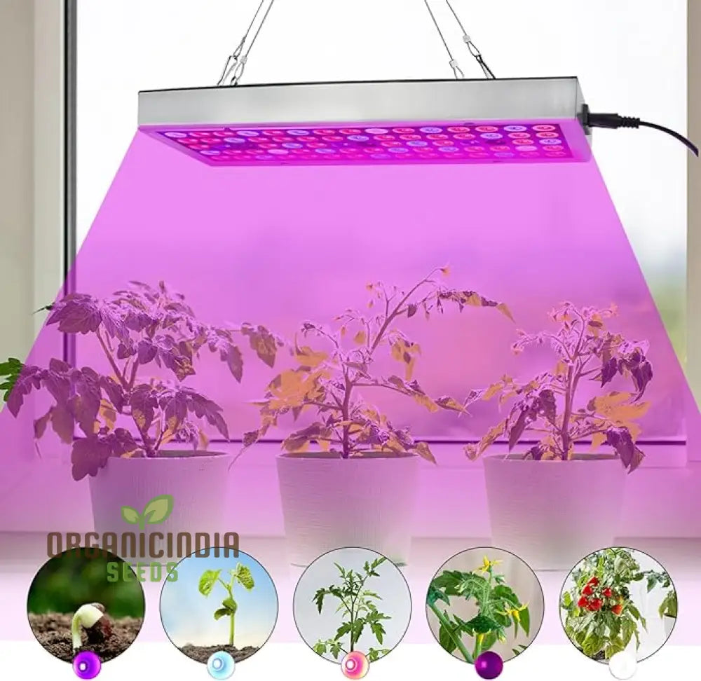 Led Grow Lights - Full Spectrum Lamp With Ir & Uv For Indoor Plants Micro Greens Clones Succulents