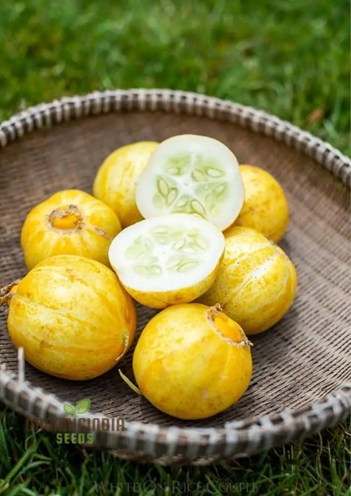 Lemon Cucumber Seeds For Planting - 100 Pcs Fruit