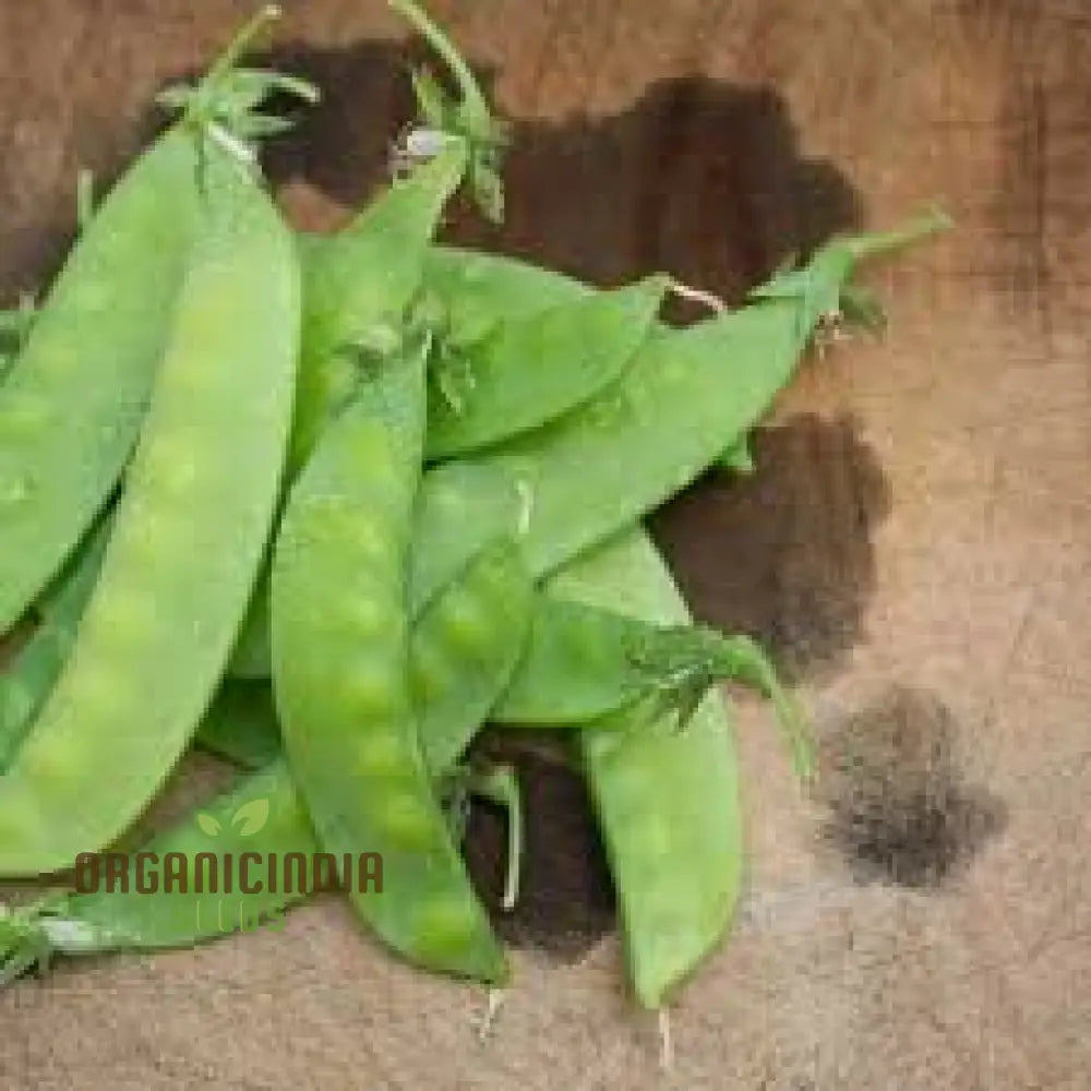 Mange Tout Sweet Horizon Vegetable Seeds High Yielding Sugar Snap Pea For Home Gardeners Vegetable