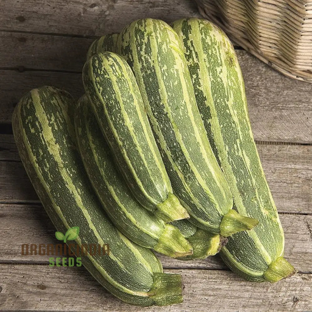 Marrow Green Trailing Vegetable Seeds For Planting Premium Quality Vegetables Growing In Your Home