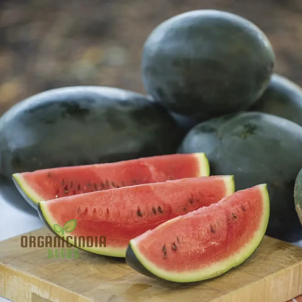 Melon Emir F1 Agm Seeds High-Quality Fruit For Planting Delicious Melons In Your Garden