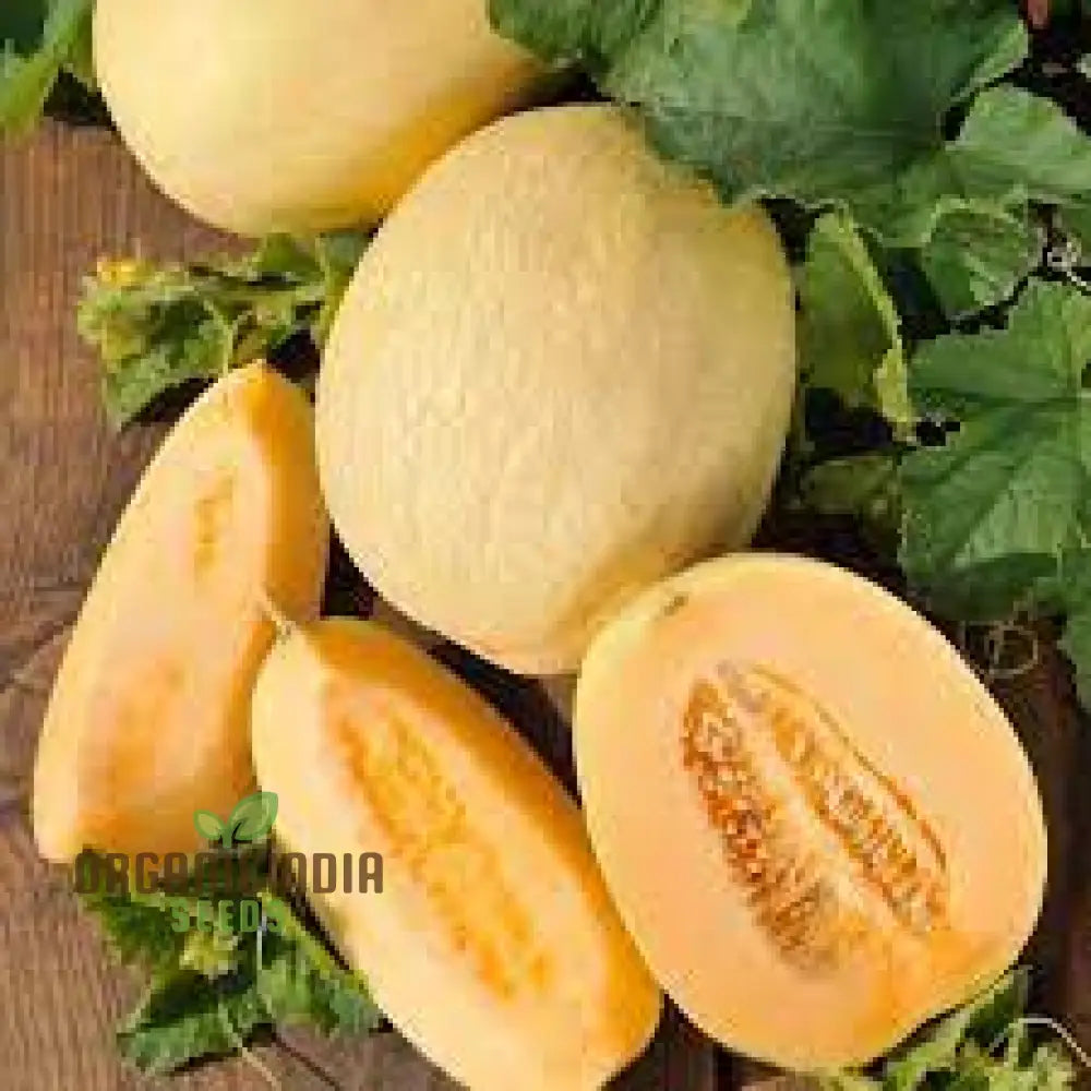 Melon Emir F1 Agm Seeds High-Quality Fruit For Planting Delicious Melons In Your Garden