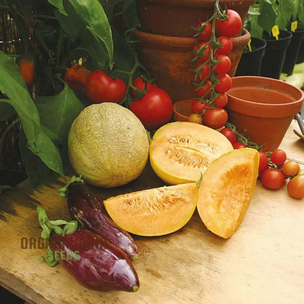 Melon Emir F1 Agm Seeds High-Quality Fruit For Planting Delicious Melons In Your Garden