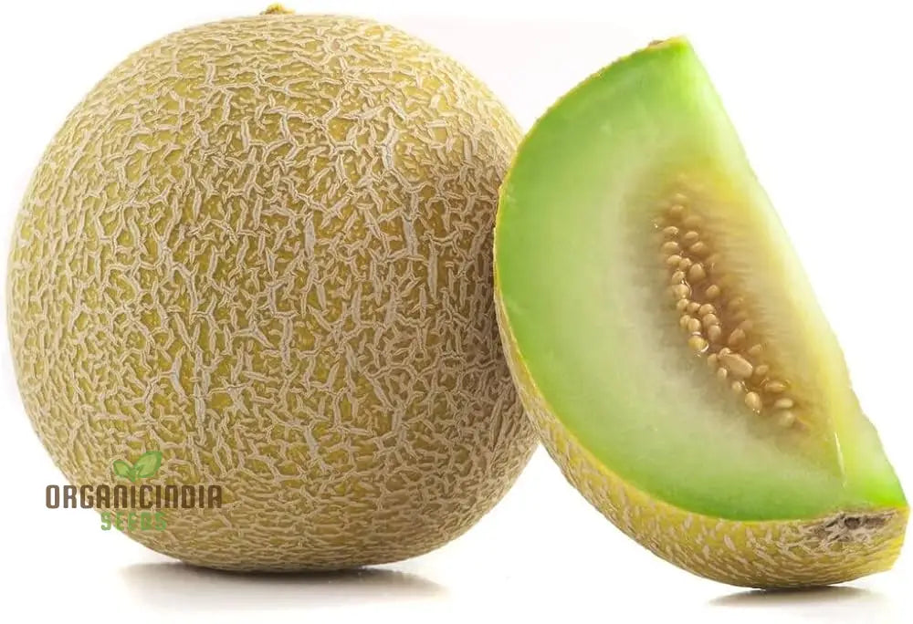 Melon Honeydew Seeds For Your Bountiful Garden: Grow Fresh With Confidence