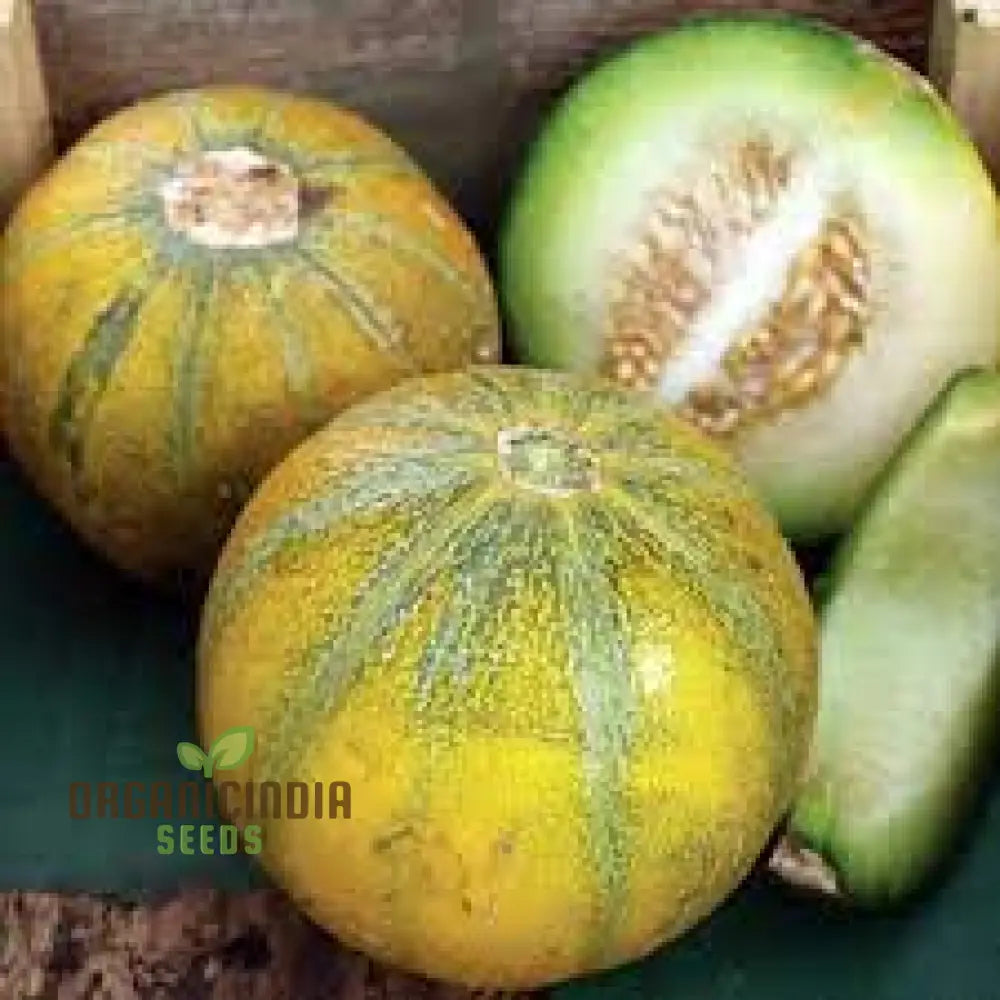 Melon Ogen Seeds For Your Flourishing Garden: Grow With Confidence