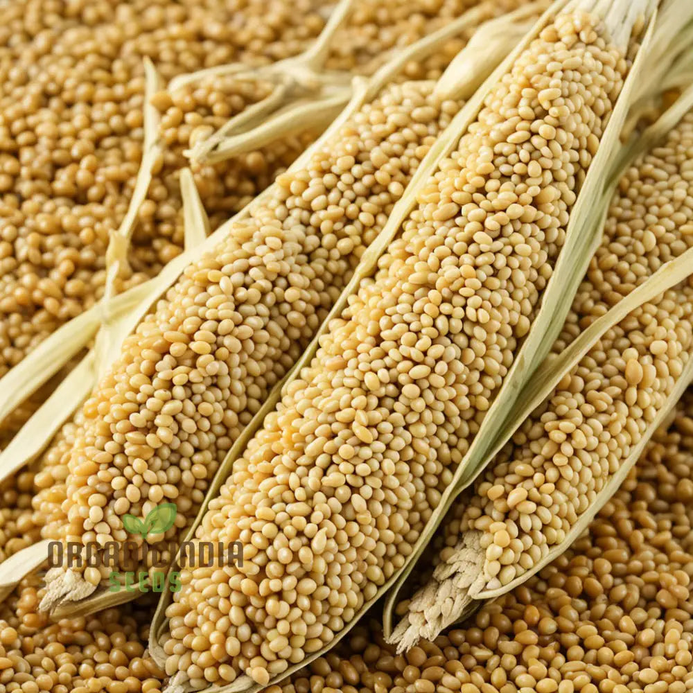 Millet Mastery Honoring Vegetable Seeds Japanese Cuisine With Nutritious Grains