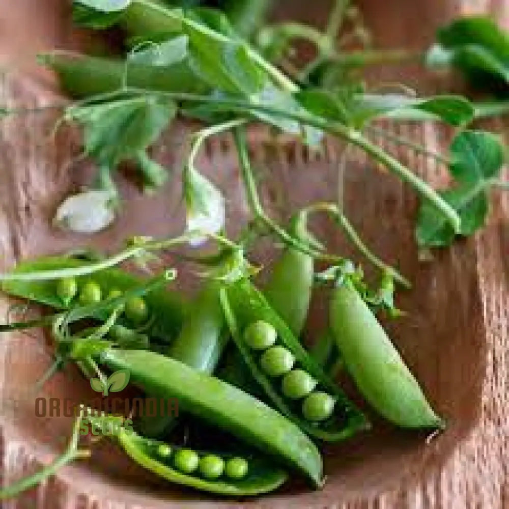 Mix Pea Seeds For Planting And Gardening - Organic Seed Collection