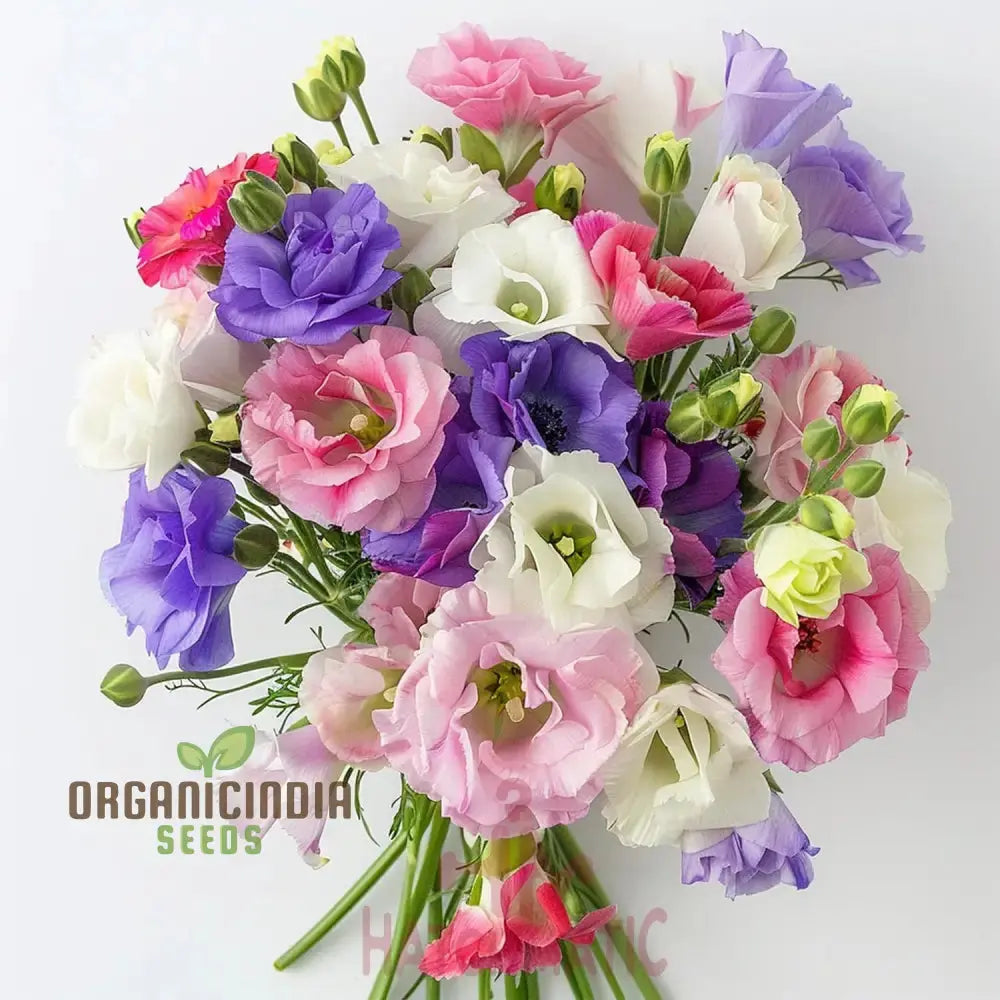 Mixed Lisianthus Flower Seeds - Stunning Variety Of Elegant Blooms For Lush Gardens Annuals