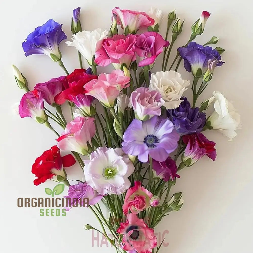 Mixed Lisianthus Flower Seeds - Stunning Variety Of Elegant Blooms For Lush Gardens Annuals