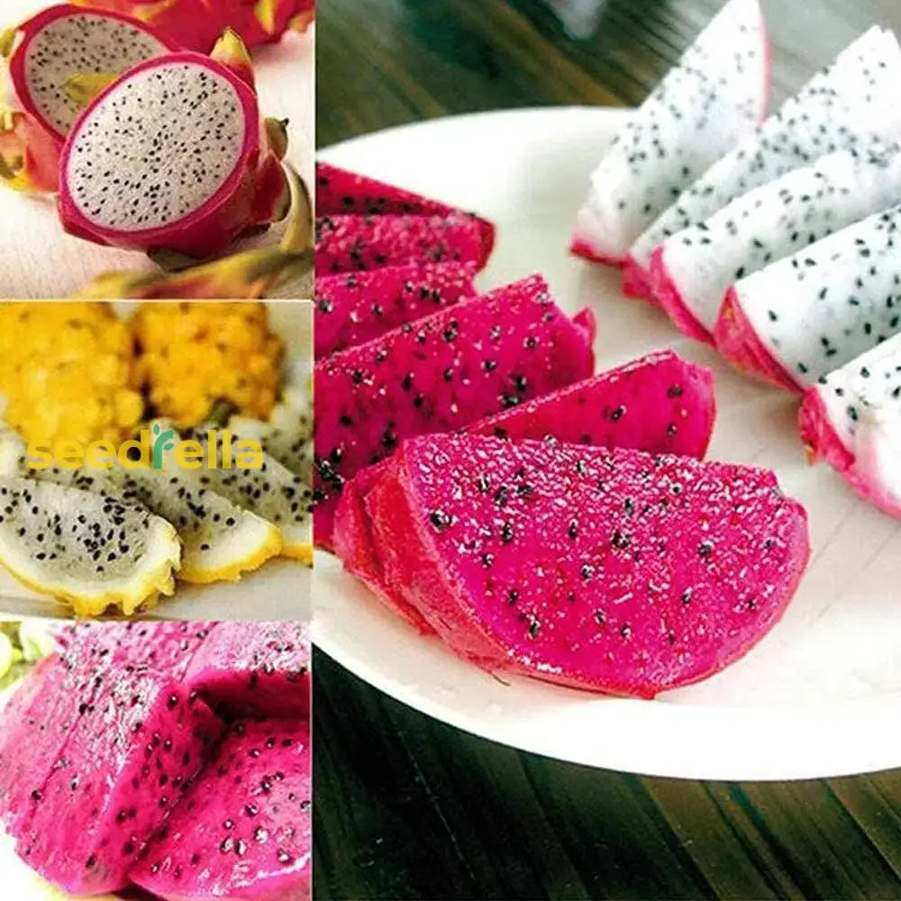 Mixed Pitaya Fruit Seeds For Easy Planting