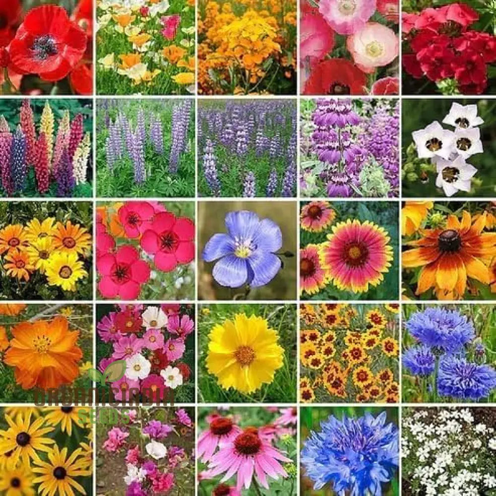 Mixed Wildflower Seeds For Vibrant Gardening Enthusiasts: Enhance Your Garden With Natureâ€™s