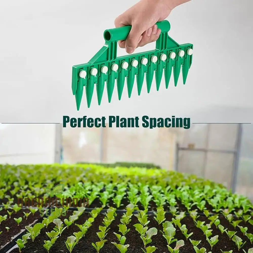 Multifunctional Seed Dibber And Spacer Tool - Ideal For Planting Seeds With Perfectly Spaced Rows